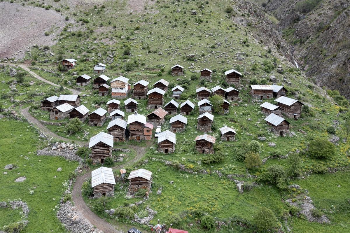Erzurum-Rize yaylaları, keşfedilmeyi bekliyor