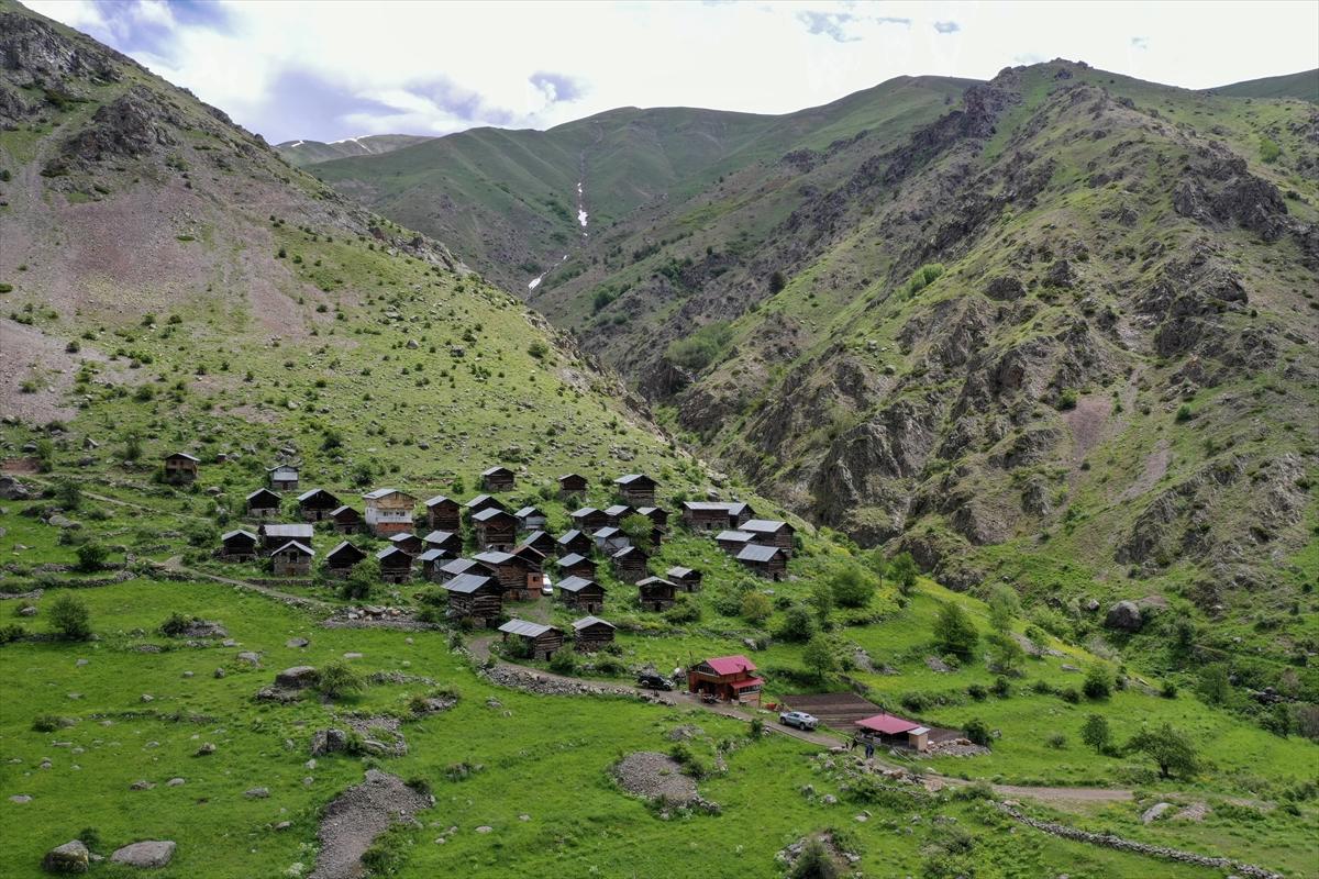 Erzurum-Rize yaylaları, keşfedilmeyi bekliyor