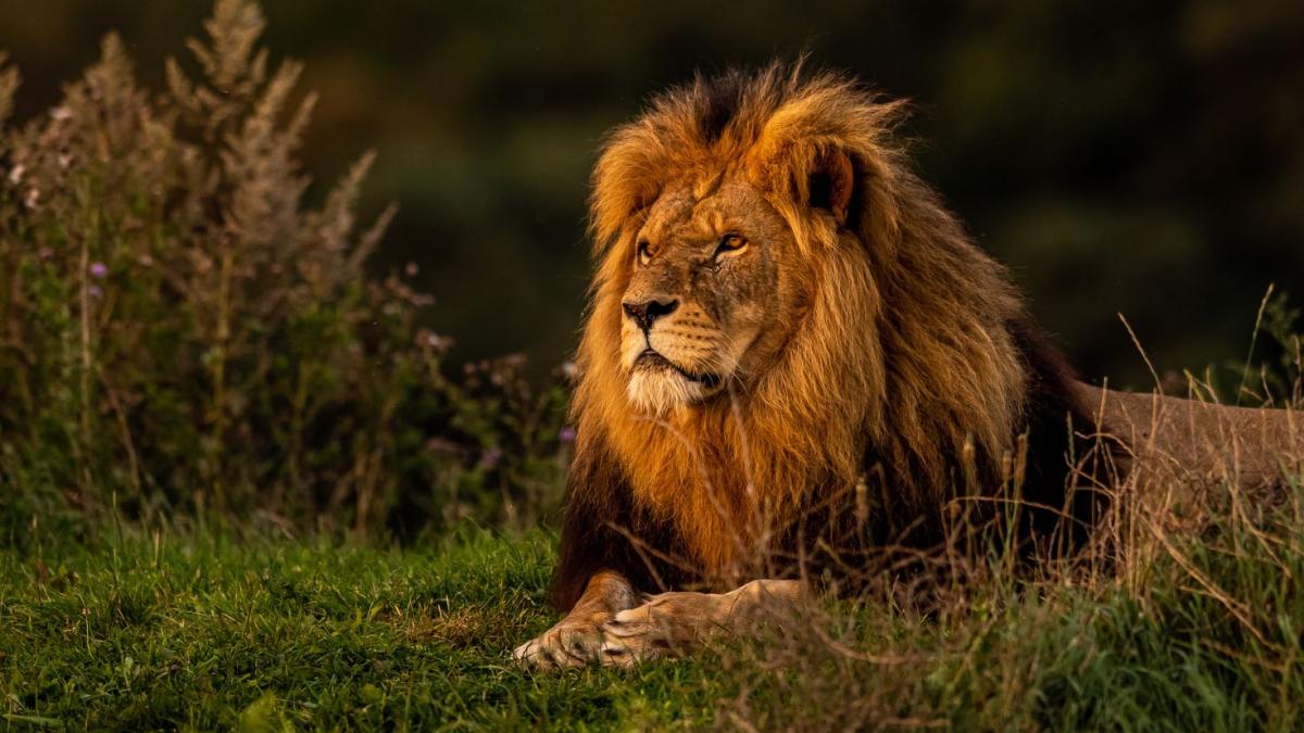 Türkiye'de en çok kullanılan soyisimleri