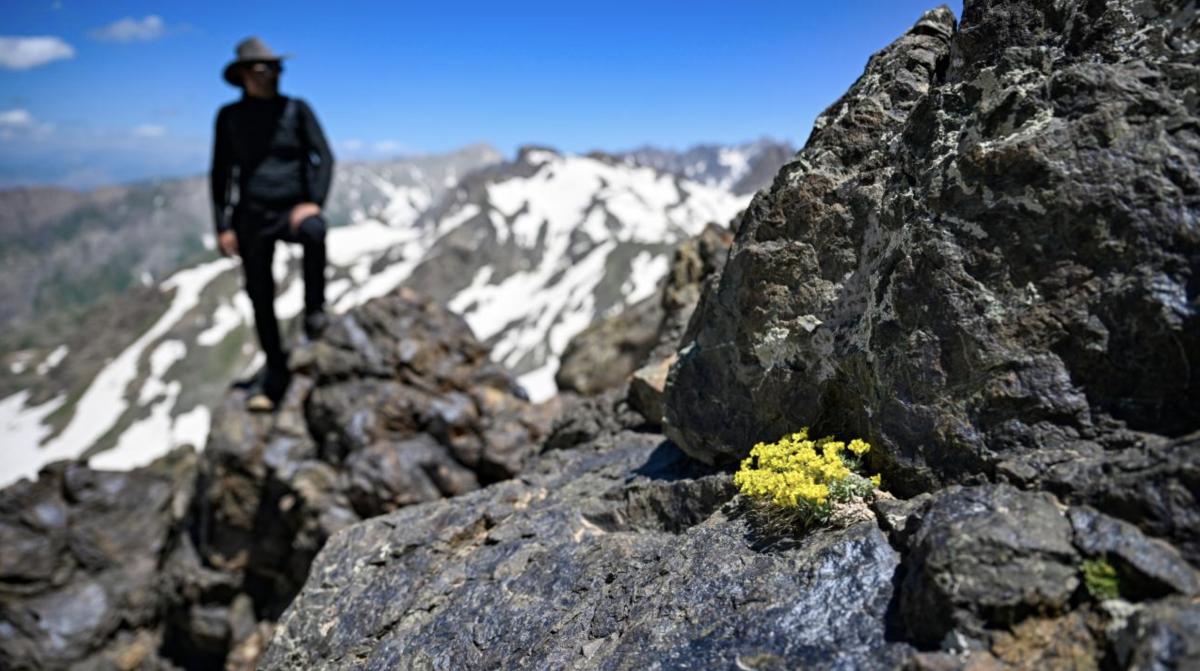 Hakkari'de adrenalin tutkunları karın keyfini çıkardı