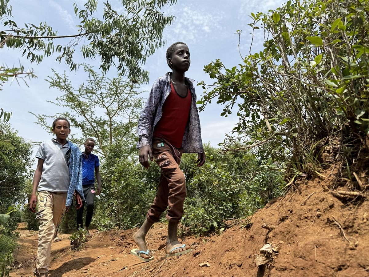 Adım adım kahvenin bahçeden fincana yolculuğu