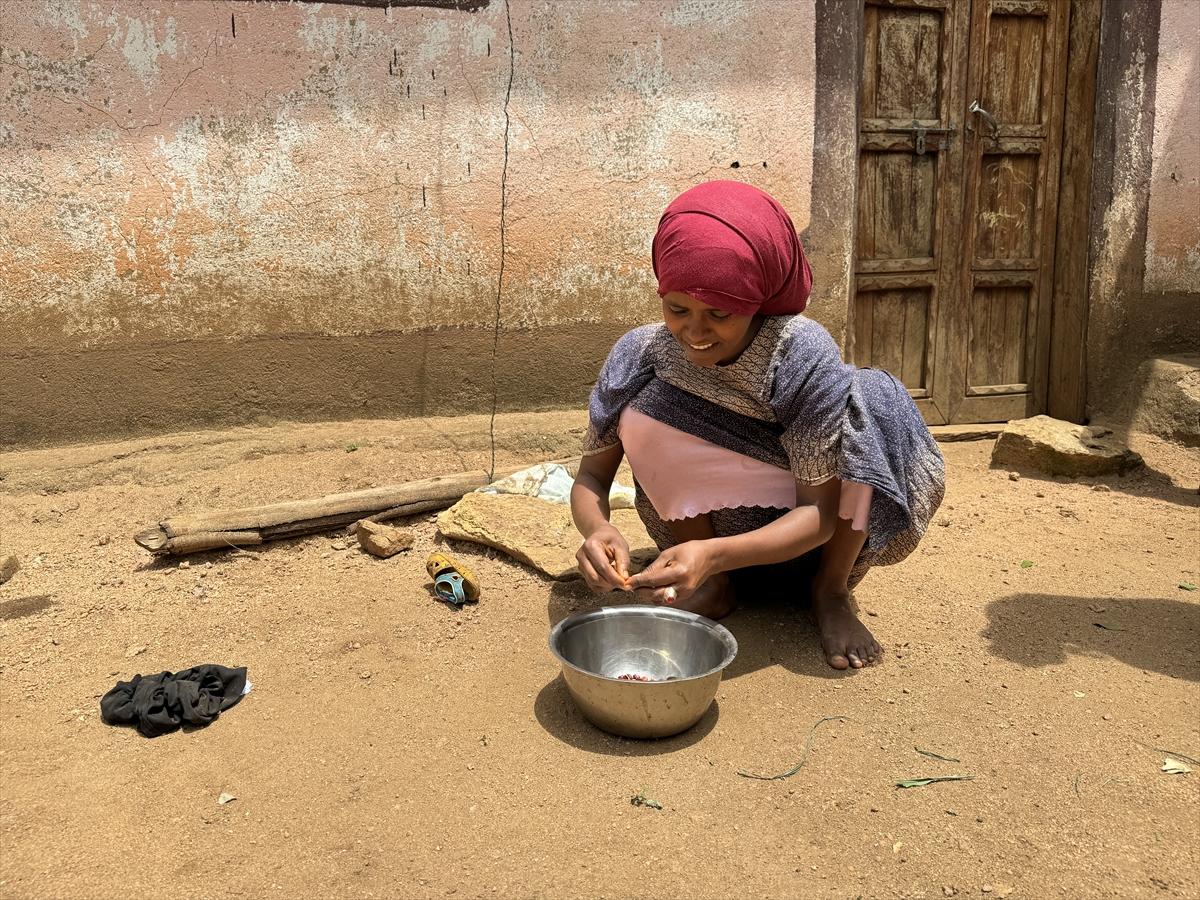 Adım adım kahvenin bahçeden fincana yolculuğu