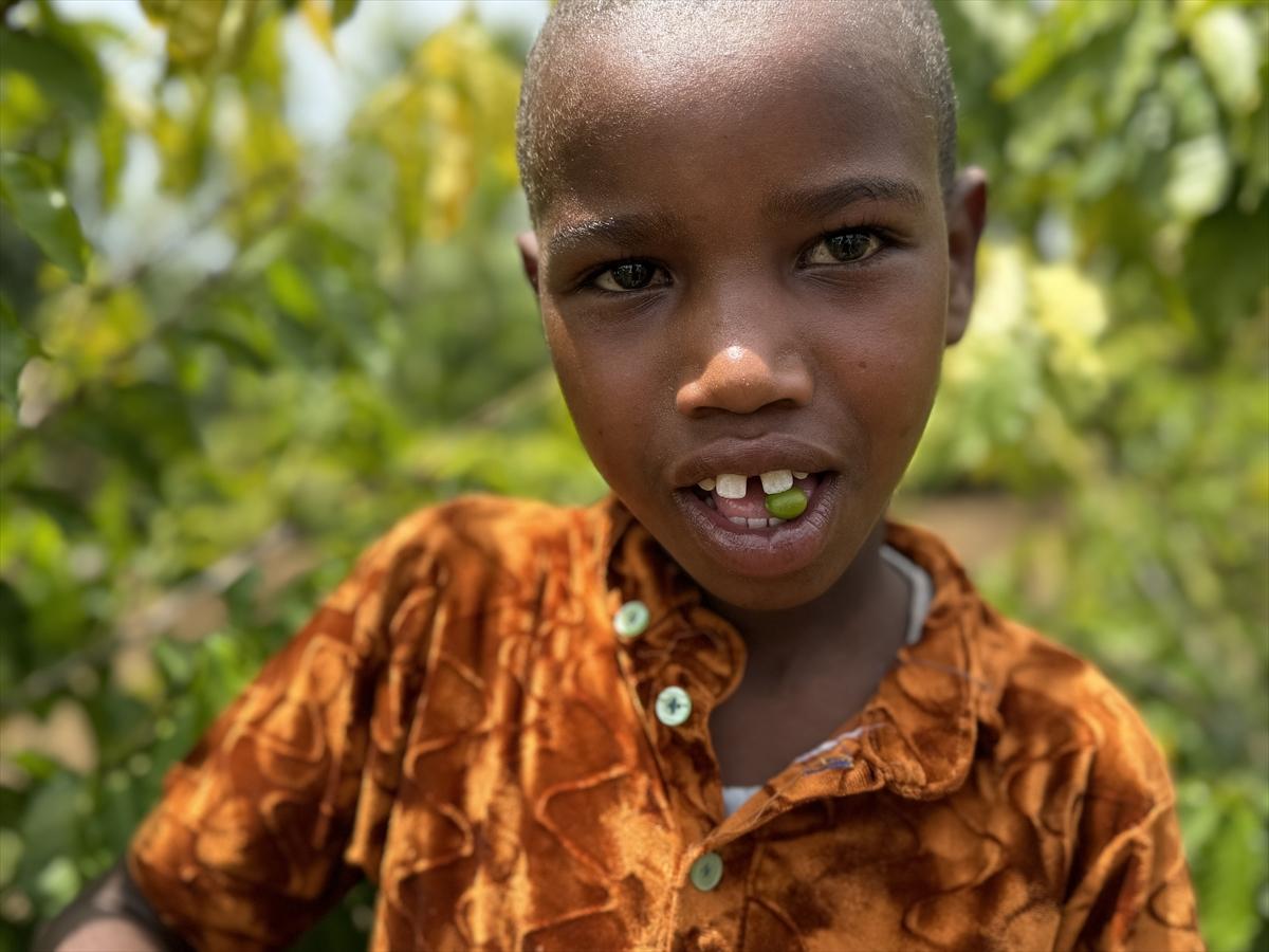 Adım adım kahvenin bahçeden fincana yolculuğu
