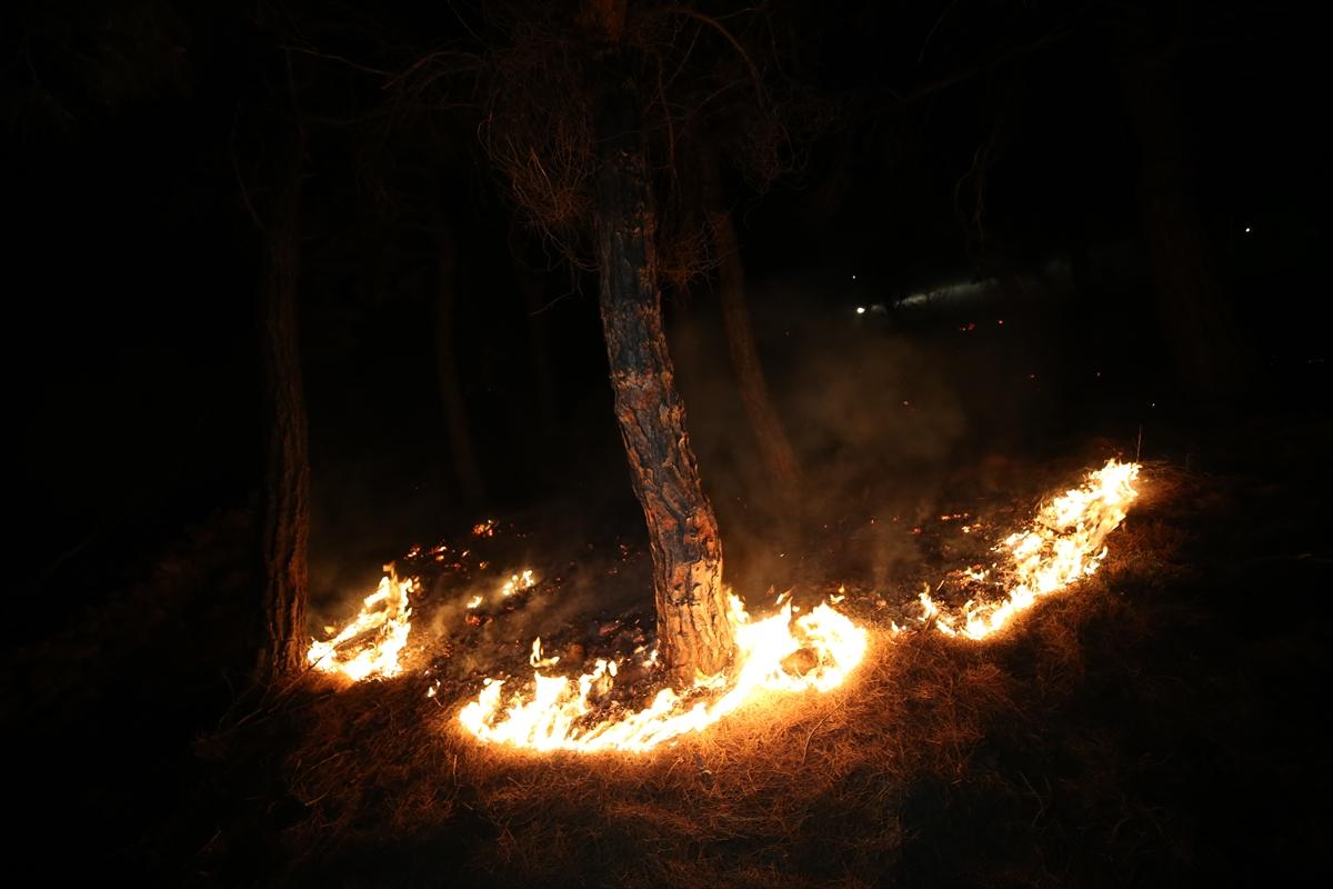 Çanakkale'de 952 futbol sahası büyüklüğünde alan yandı