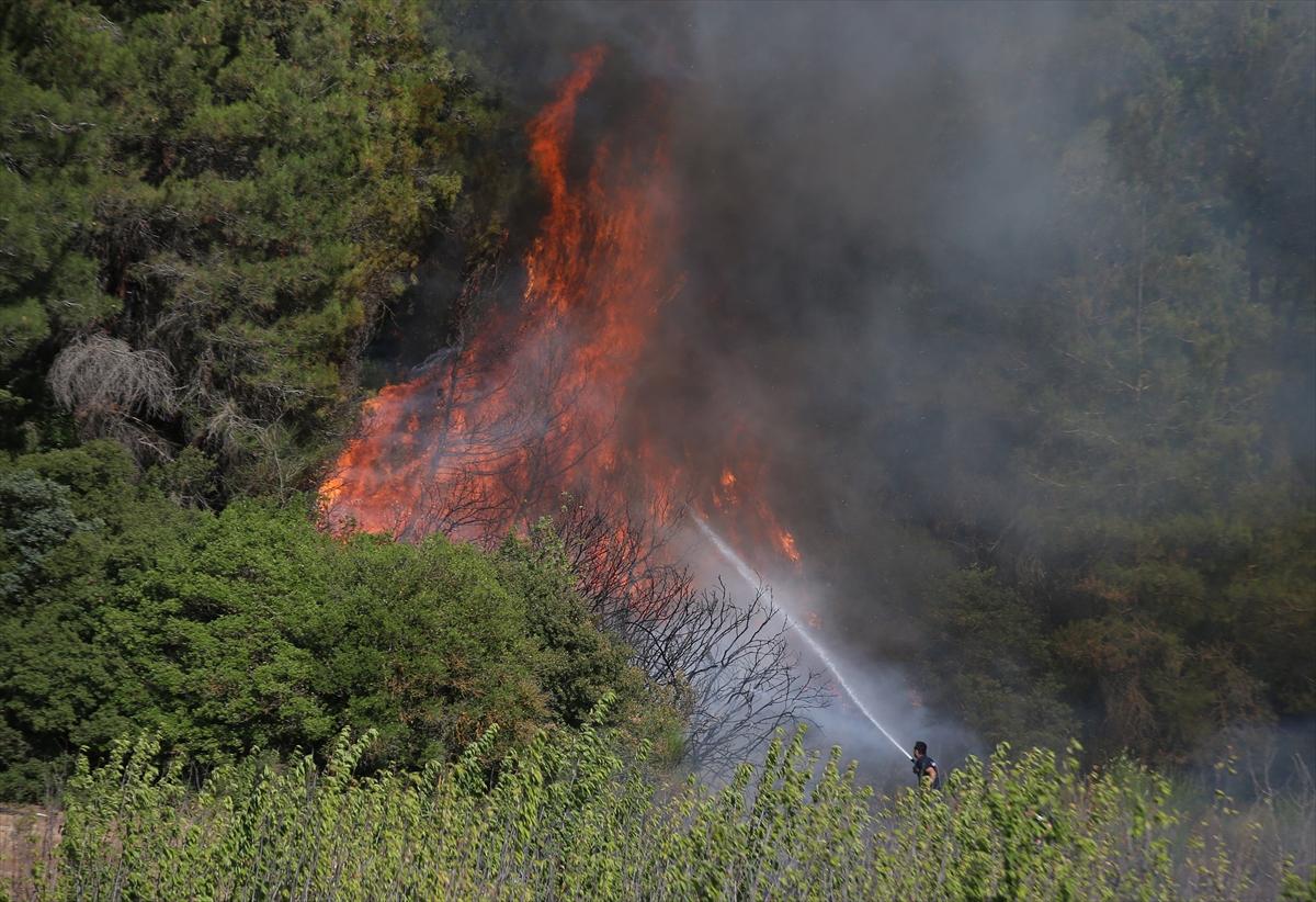 Çanakkale'de 952 futbol sahası büyüklüğünde alan yandı