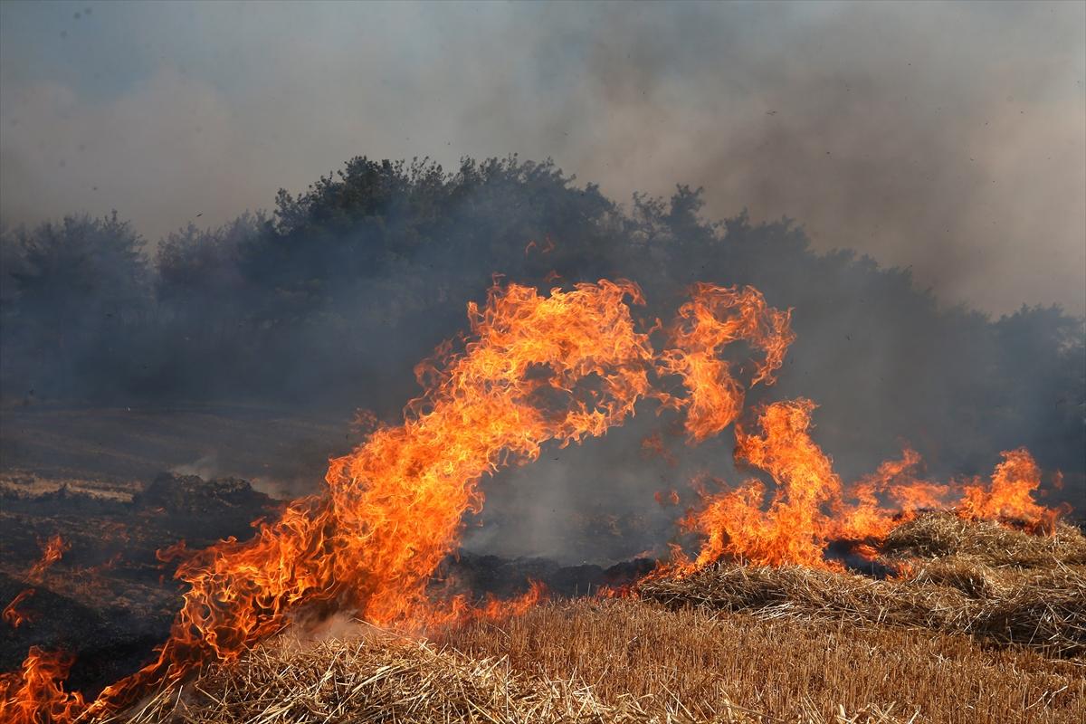Çanakkale'de 952 futbol sahası büyüklüğünde alan yandı