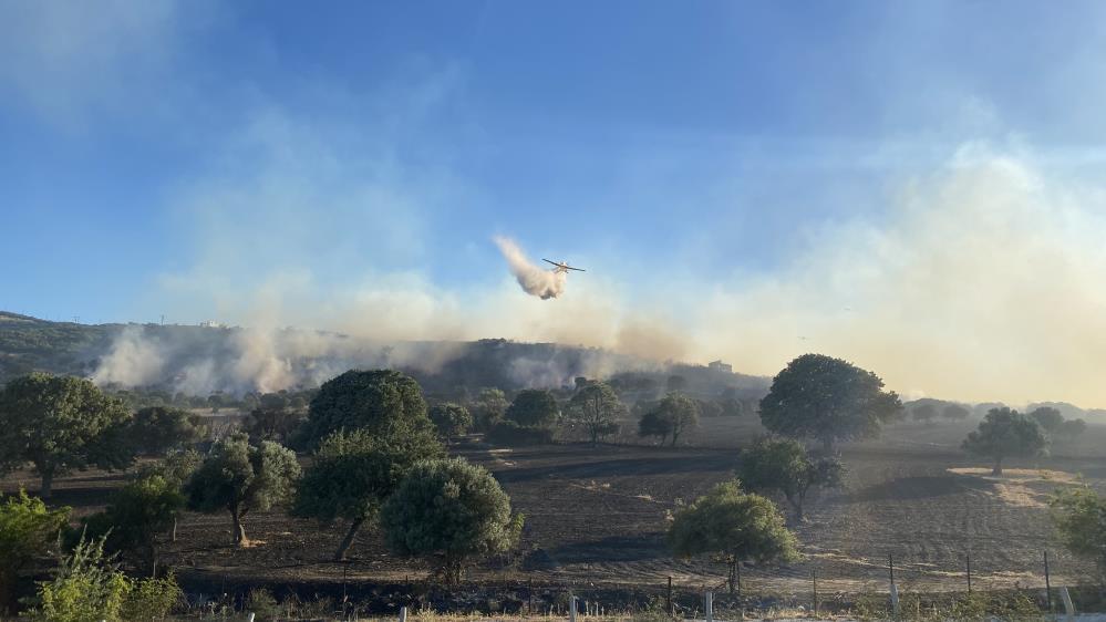 Çanakkale'de 952 futbol sahası büyüklüğünde alan yandı