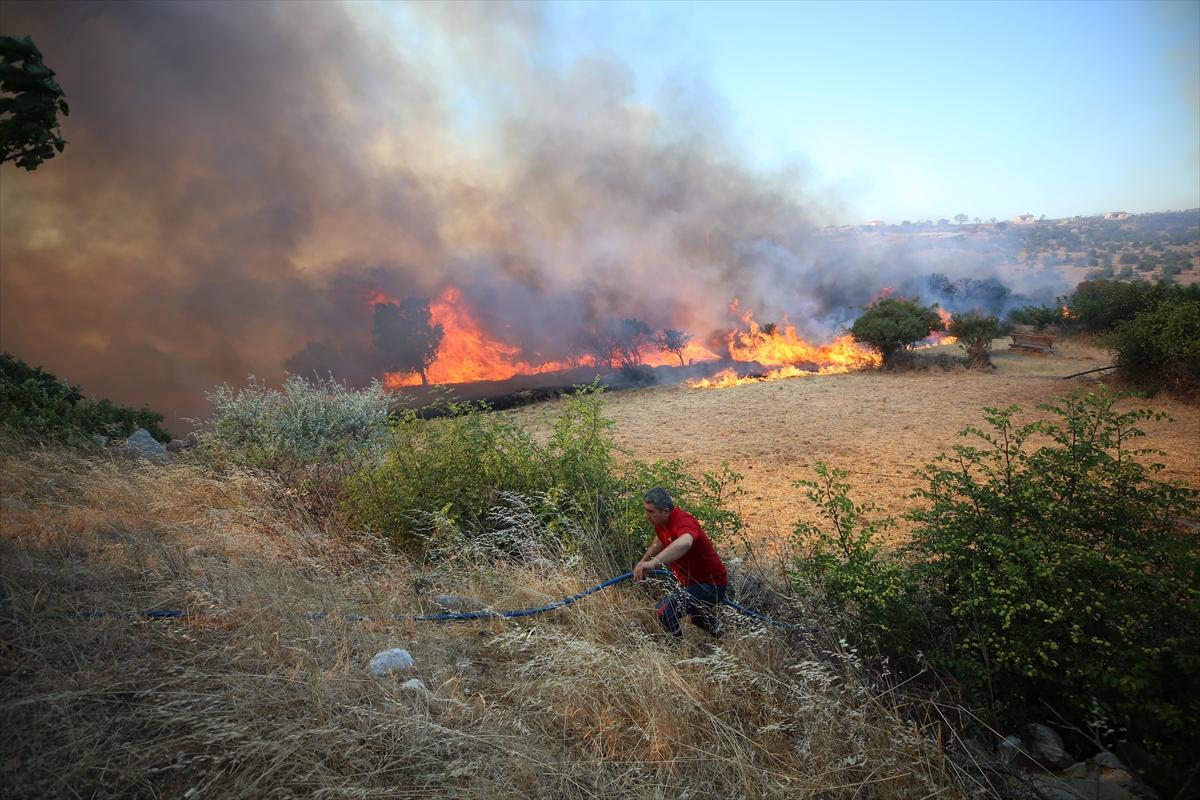 Çanakkale'de 952 futbol sahası büyüklüğünde alan yandı