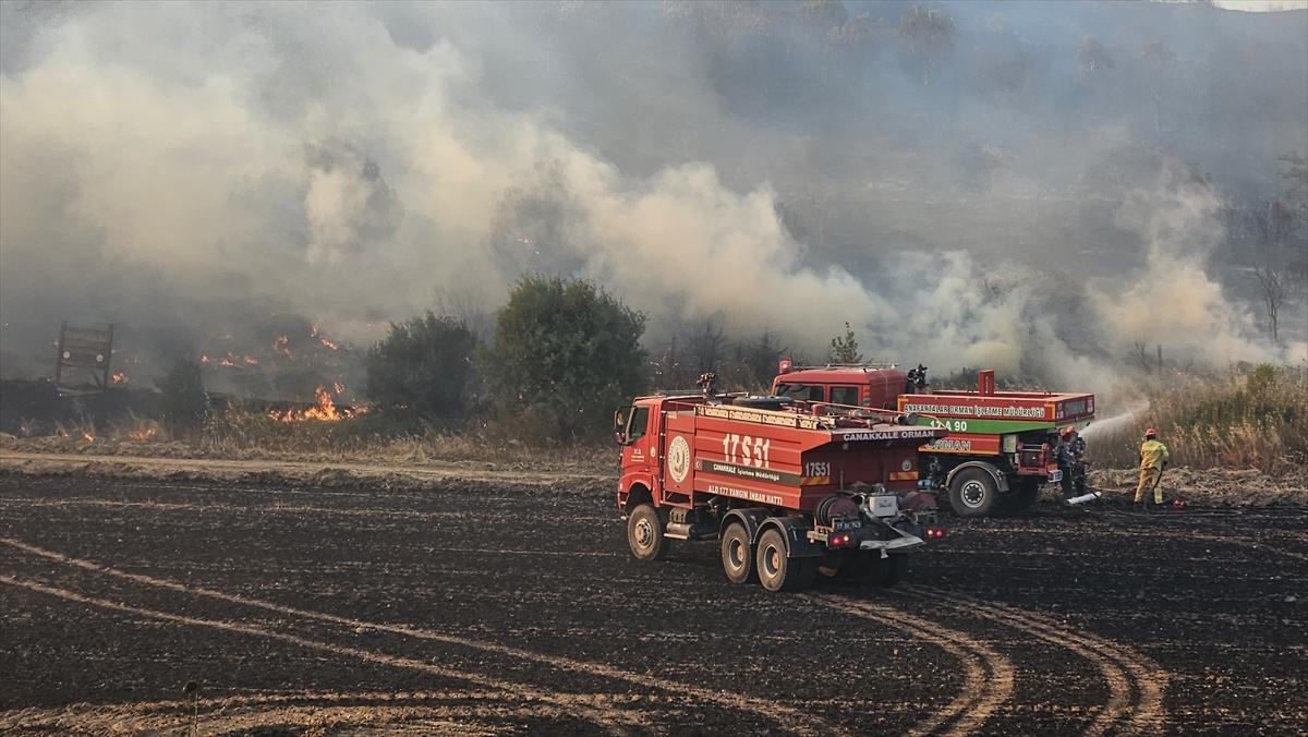 Çanakkale'de 952 futbol sahası büyüklüğünde alan yandı