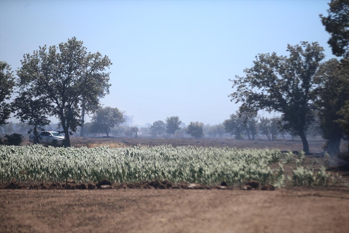 Çanakkale'de 952 futbol sahası büyüklüğünde alan yandı