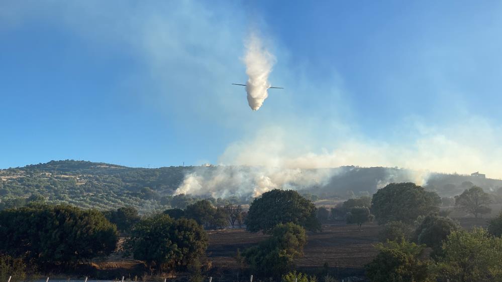 Çanakkale'de 952 futbol sahası büyüklüğünde alan yandı