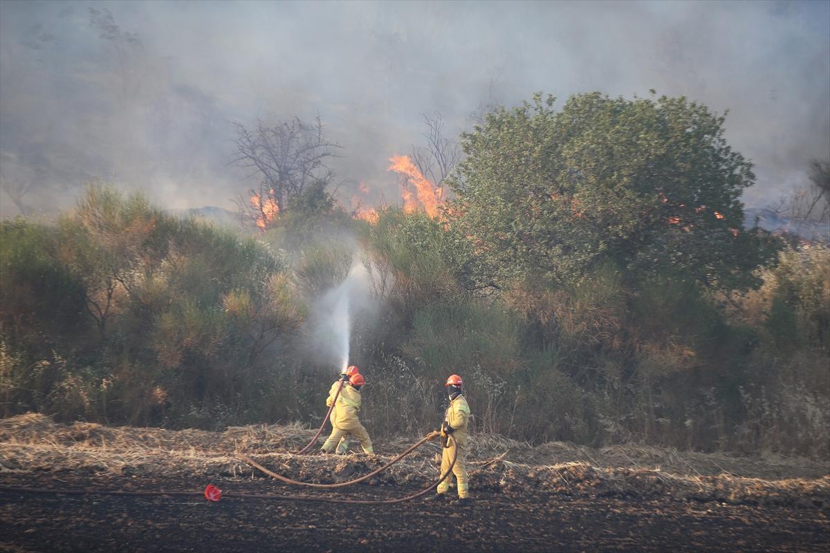 Çanakkale'de 952 futbol sahası büyüklüğünde alan yandı