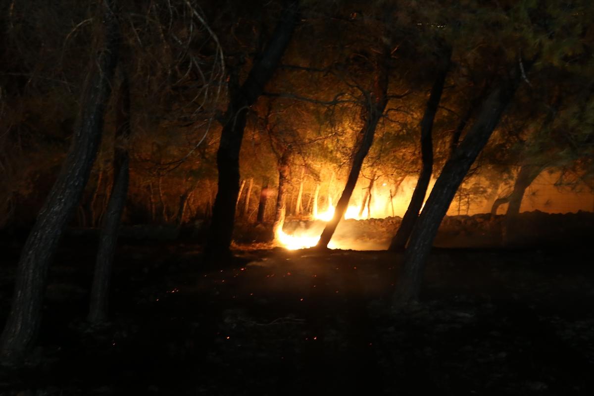 Çanakkale'de 952 futbol sahası büyüklüğünde alan yandı