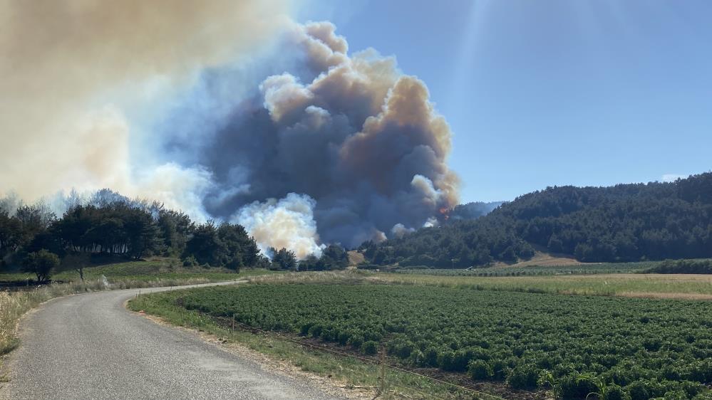 Çanakkale'de 952 futbol sahası büyüklüğünde alan yandı