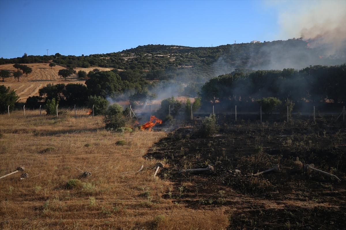 Çanakkale'de 952 futbol sahası büyüklüğünde alan yandı