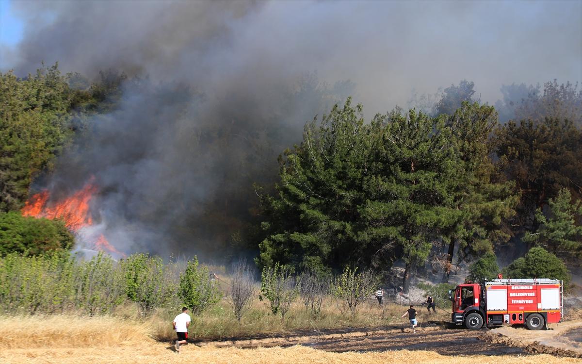Çanakkale'de 952 futbol sahası büyüklüğünde alan yandı