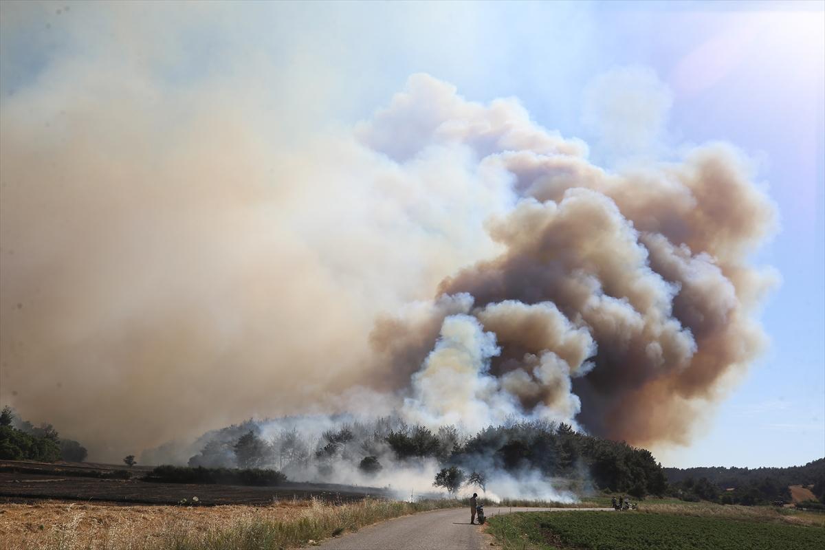 Çanakkale'de 952 futbol sahası büyüklüğünde alan yandı