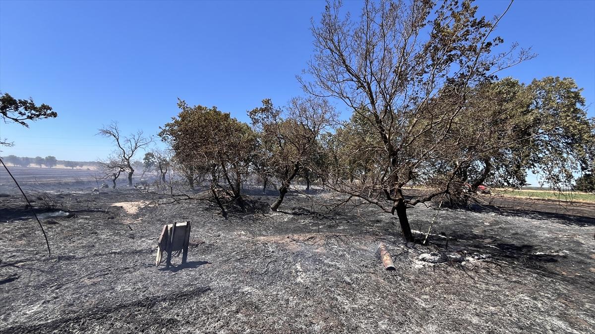 Çanakkale'de 952 futbol sahası büyüklüğünde alan yandı
