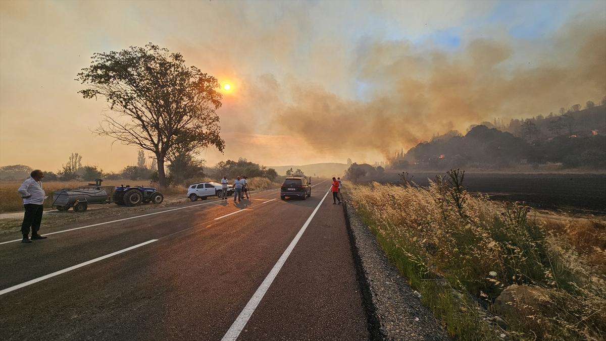 Çanakkale'de 952 futbol sahası büyüklüğünde alan yandı