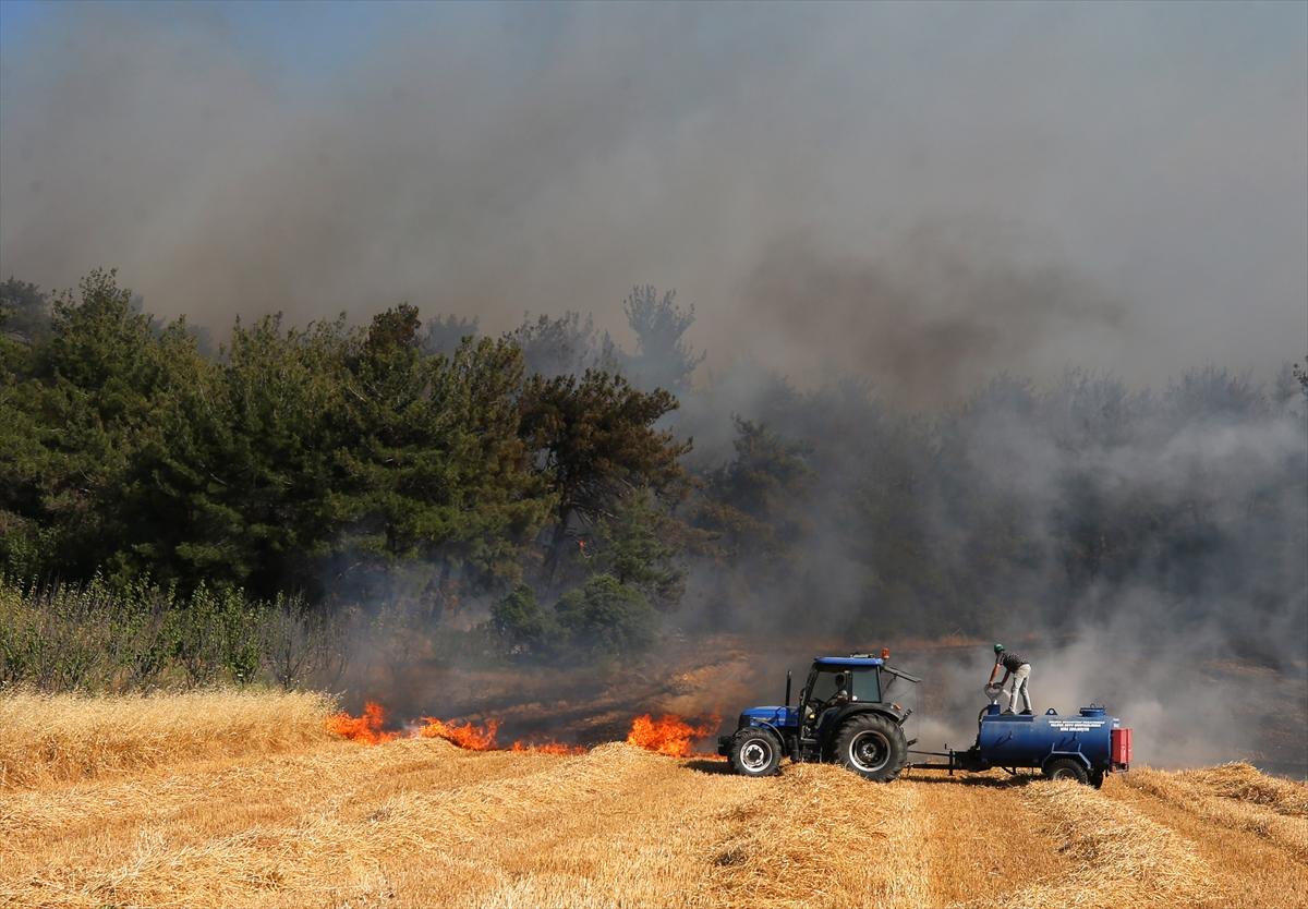 Çanakkale'de 952 futbol sahası büyüklüğünde alan yandı