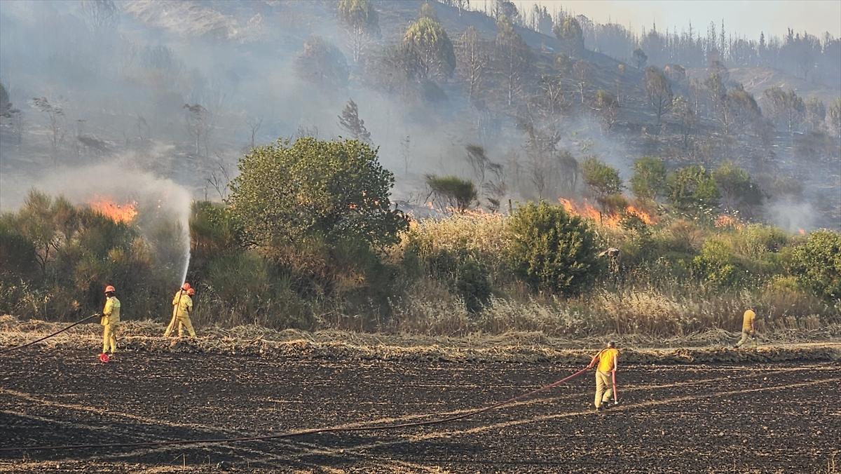 Çanakkale'de 952 futbol sahası büyüklüğünde alan yandı