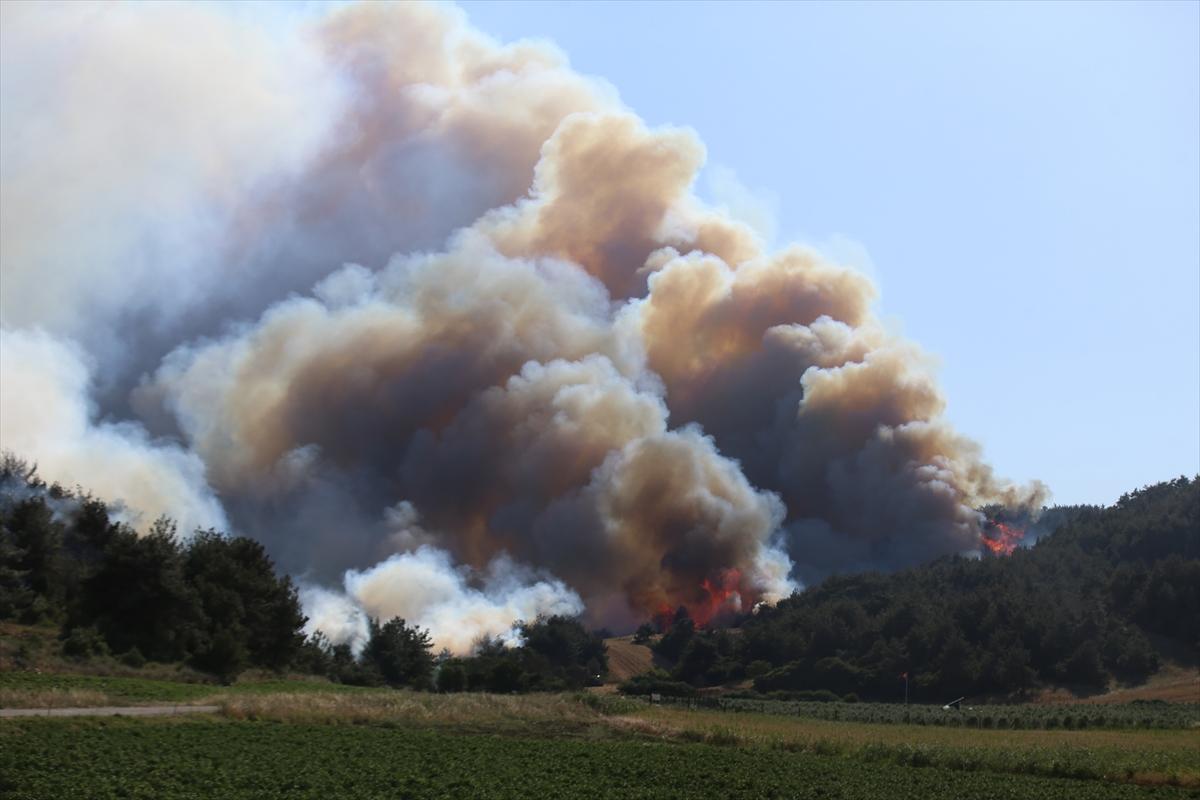 Çanakkale'de 952 futbol sahası büyüklüğünde alan yandı