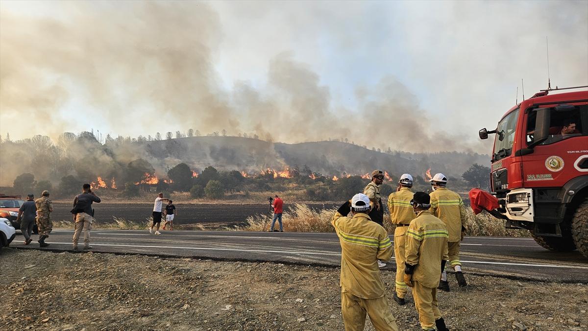 Çanakkale'de 952 futbol sahası büyüklüğünde alan yandı