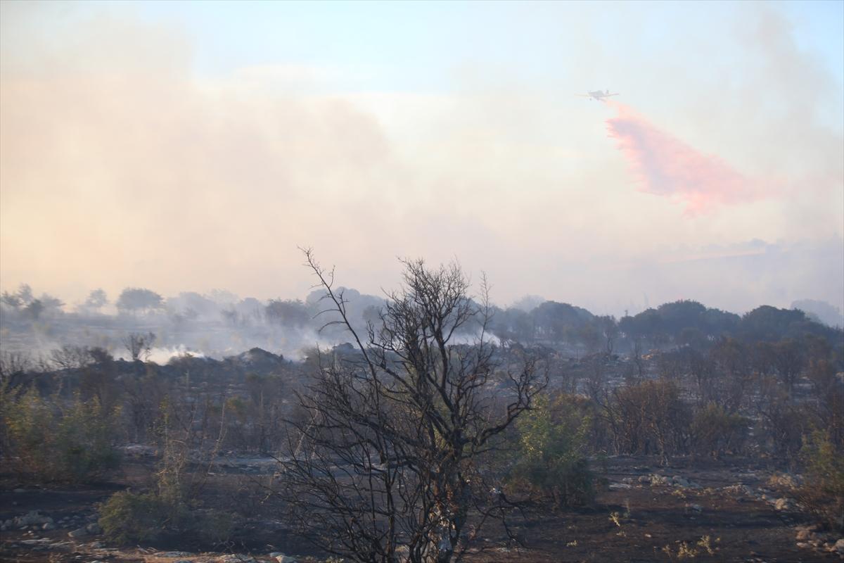 Çanakkale'de 952 futbol sahası büyüklüğünde alan yandı