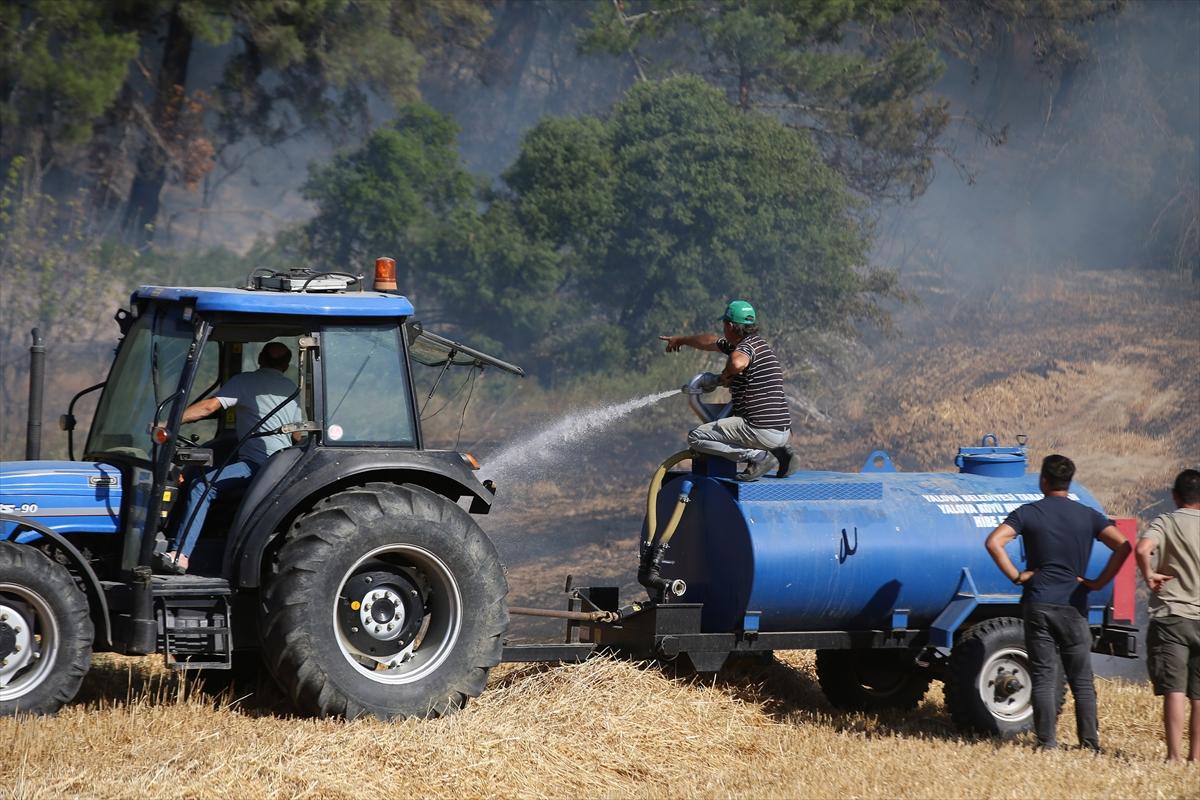 Çanakkale'de 952 futbol sahası büyüklüğünde alan yandı
