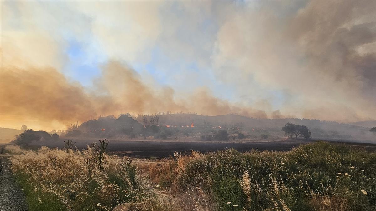 Çanakkale'de 952 futbol sahası büyüklüğünde alan yandı