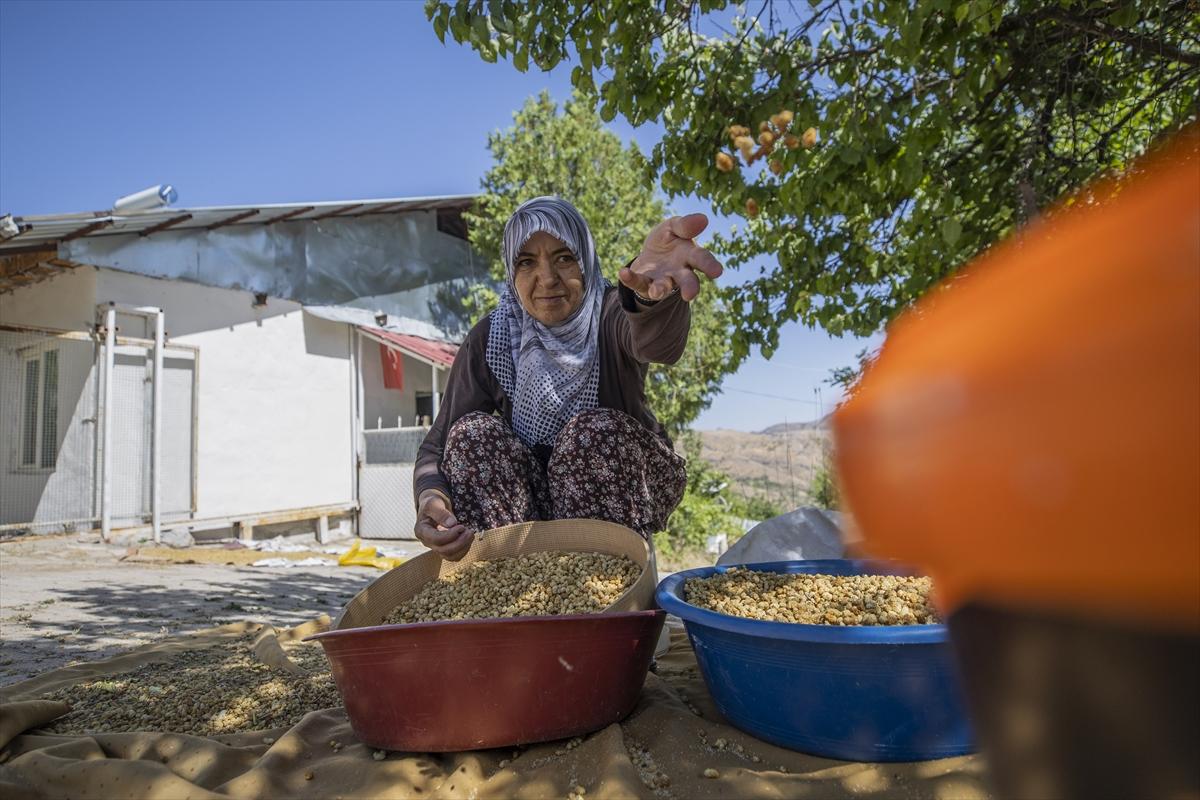 Tunceli'de dut mesaisi