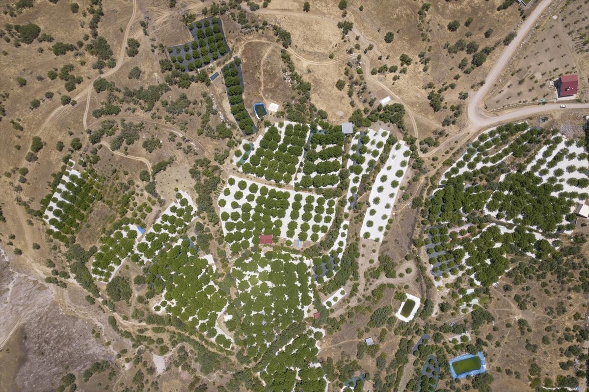 Tunceli'de dut mesaisi