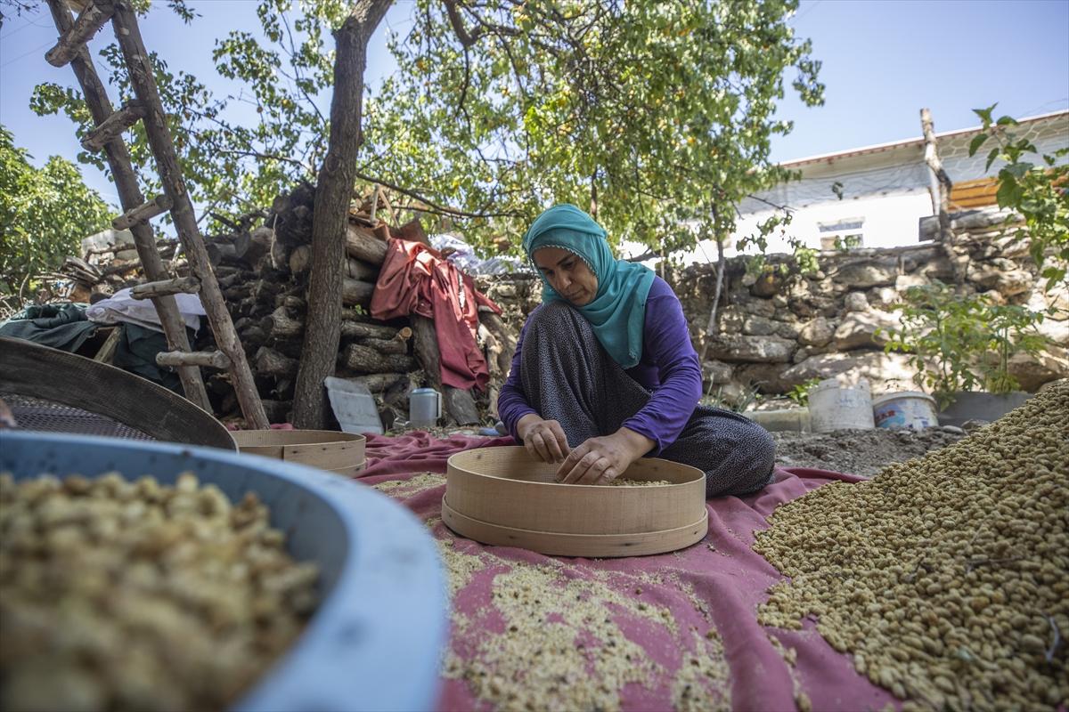 Tunceli'de dut mesaisi