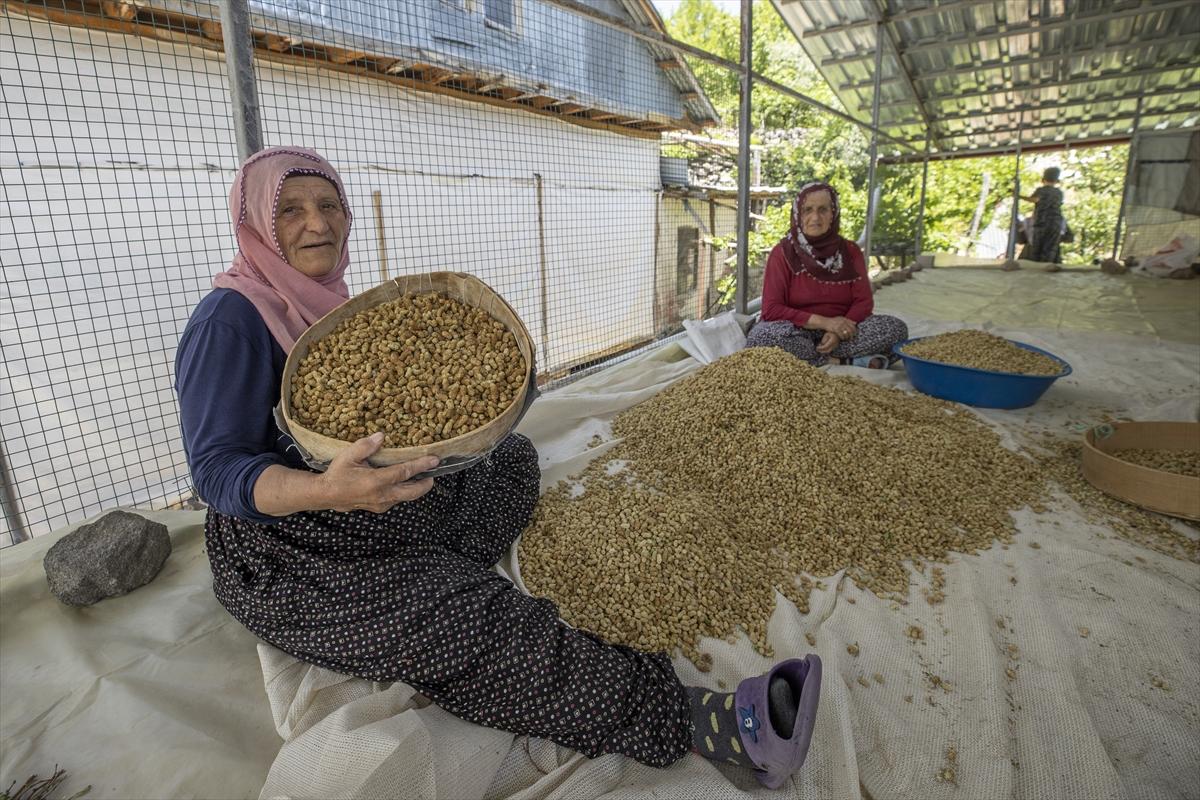 Tunceli'de dut mesaisi