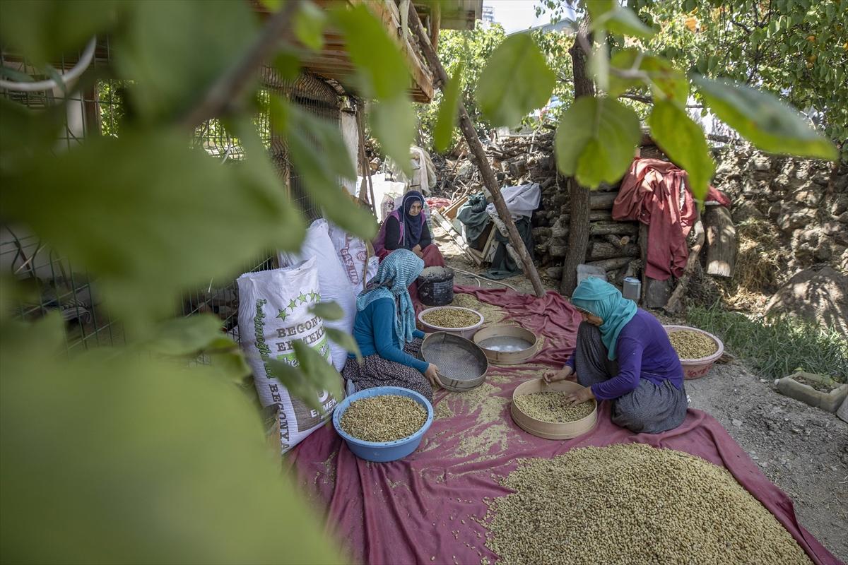 Tunceli'de dut mesaisi