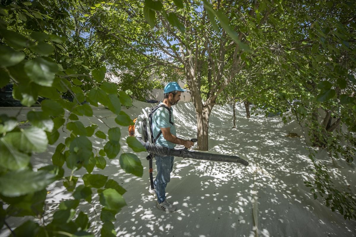 Tunceli'de dut mesaisi
