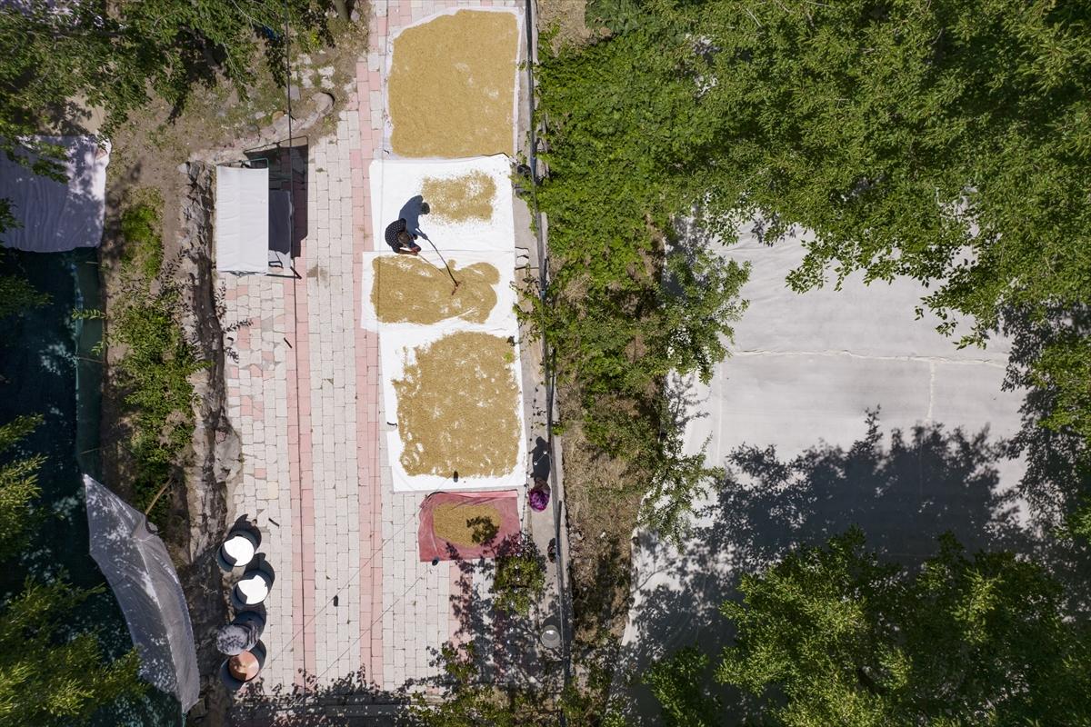 Tunceli'de dut mesaisi