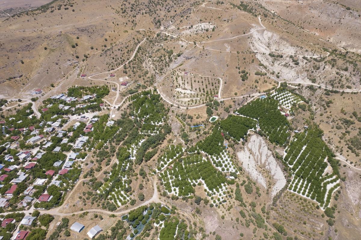 Tunceli'de dut mesaisi