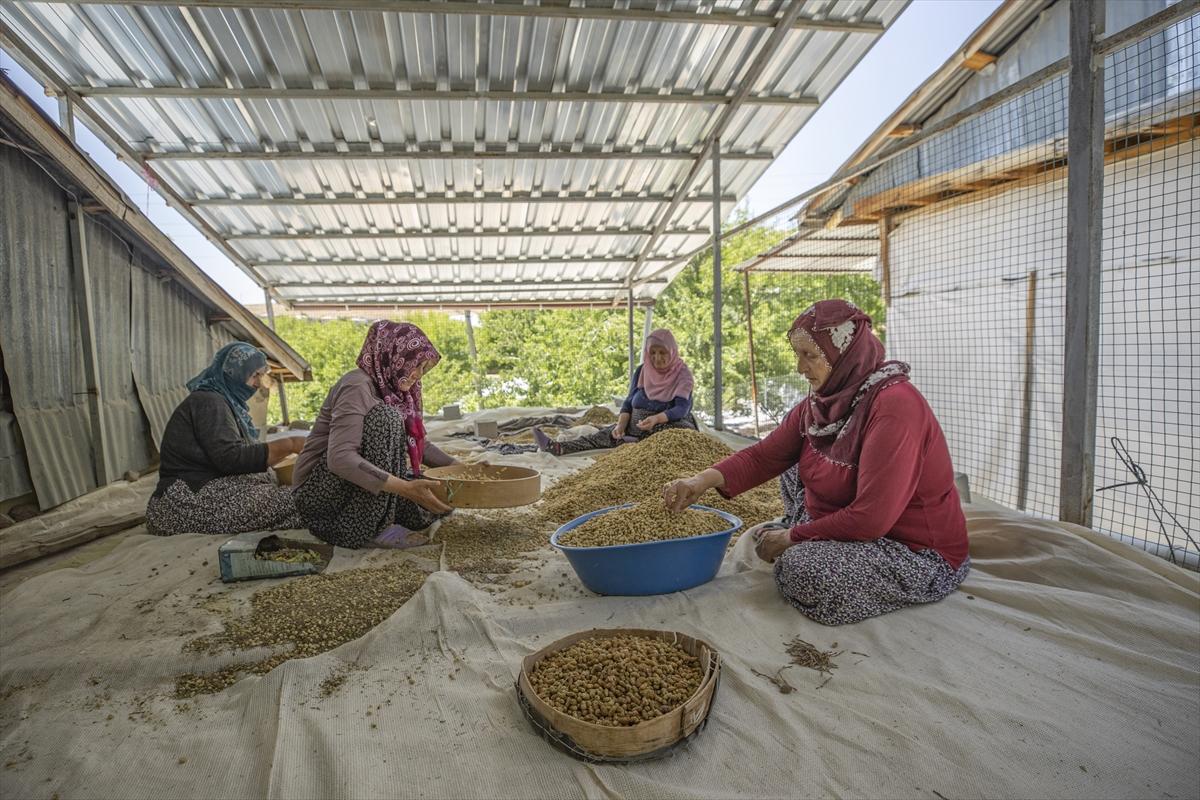 Tunceli'de dut mesaisi
