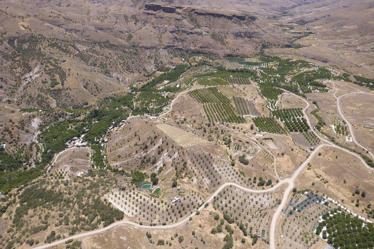 Tunceli'de dut mesaisi