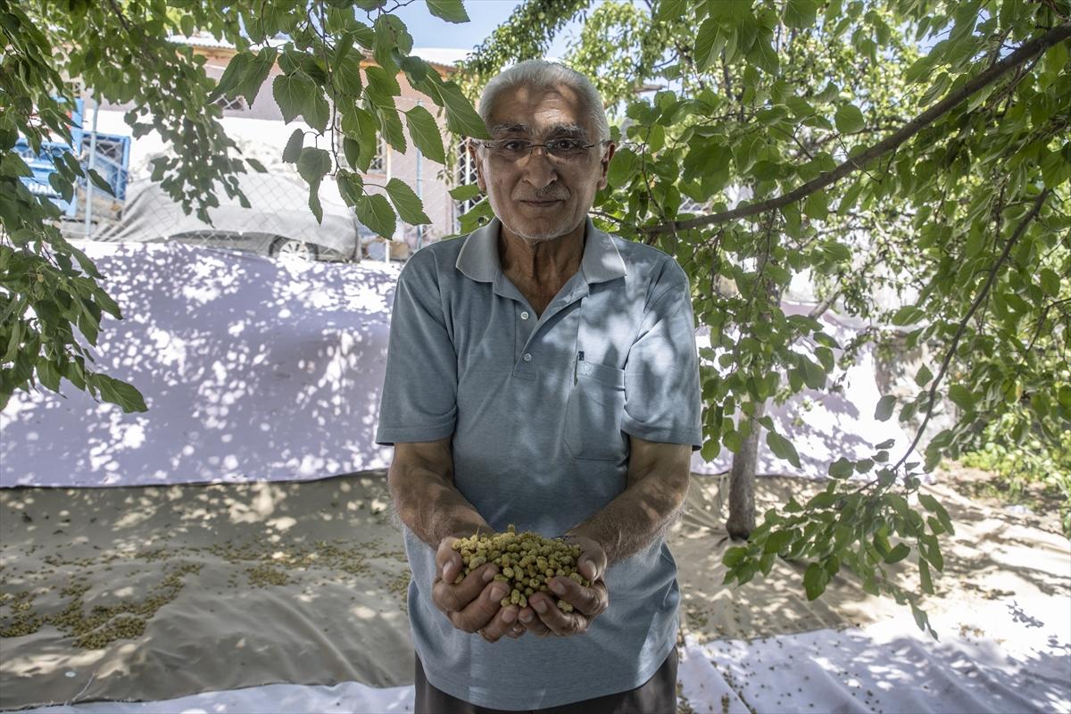Tunceli'de dut mesaisi