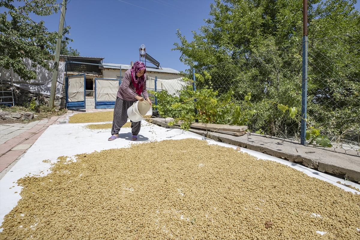 Tunceli'de dut mesaisi