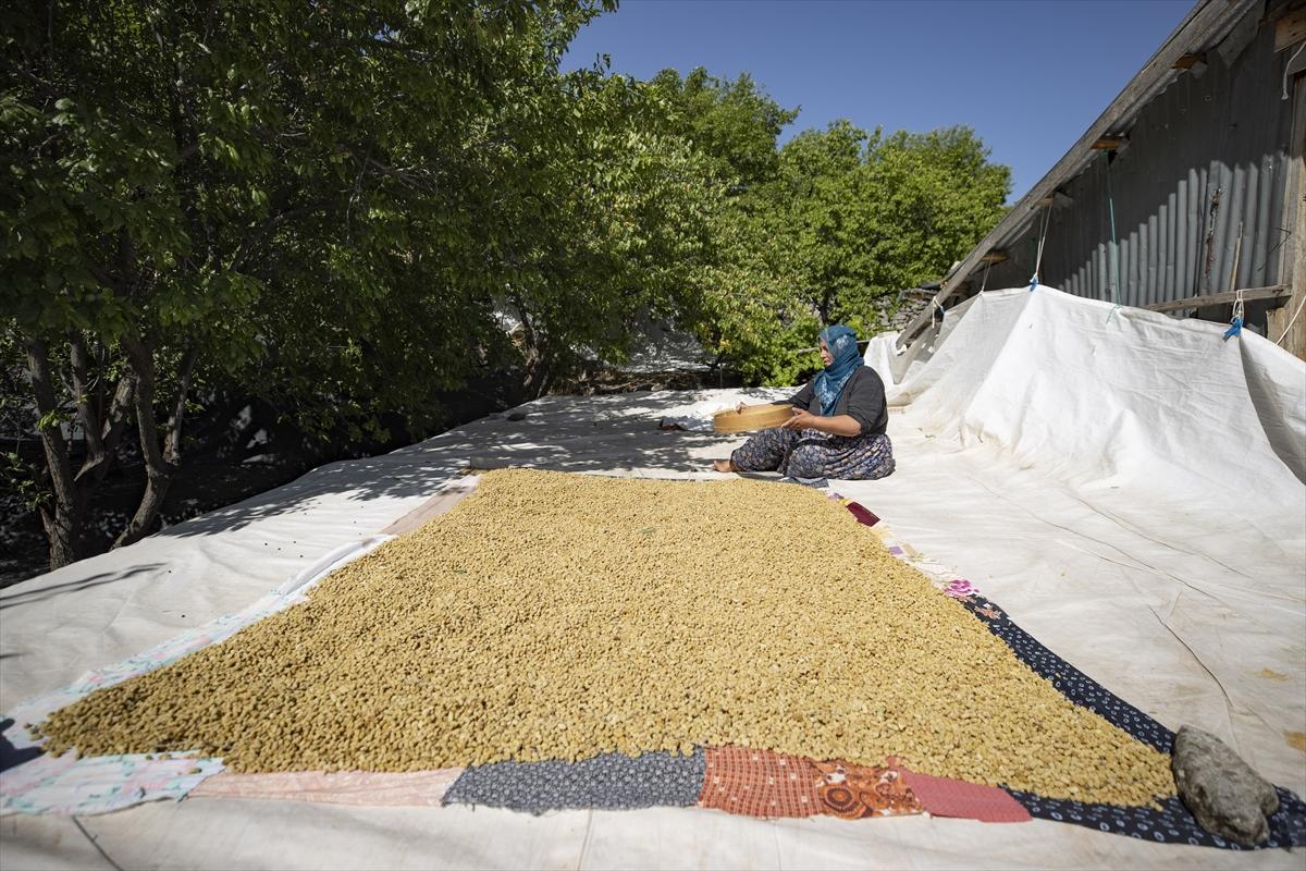 Tunceli'de dut mesaisi