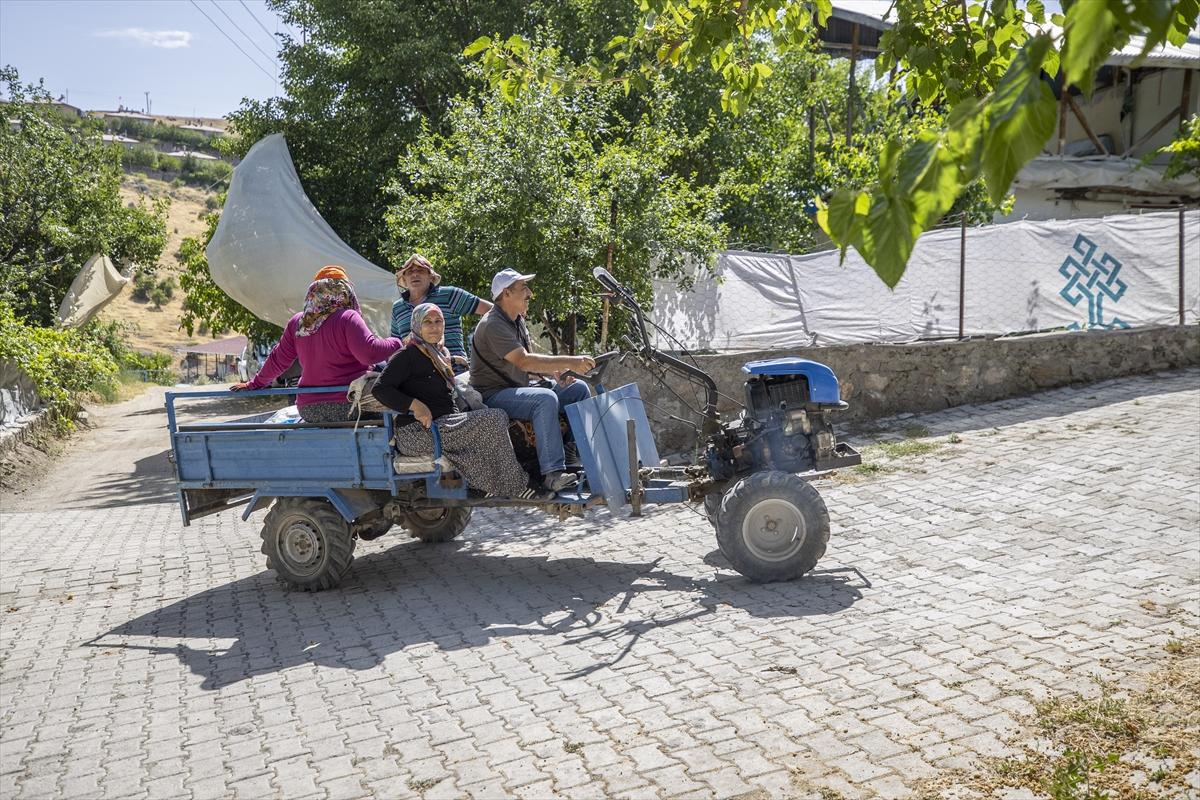 Tunceli'de dut mesaisi