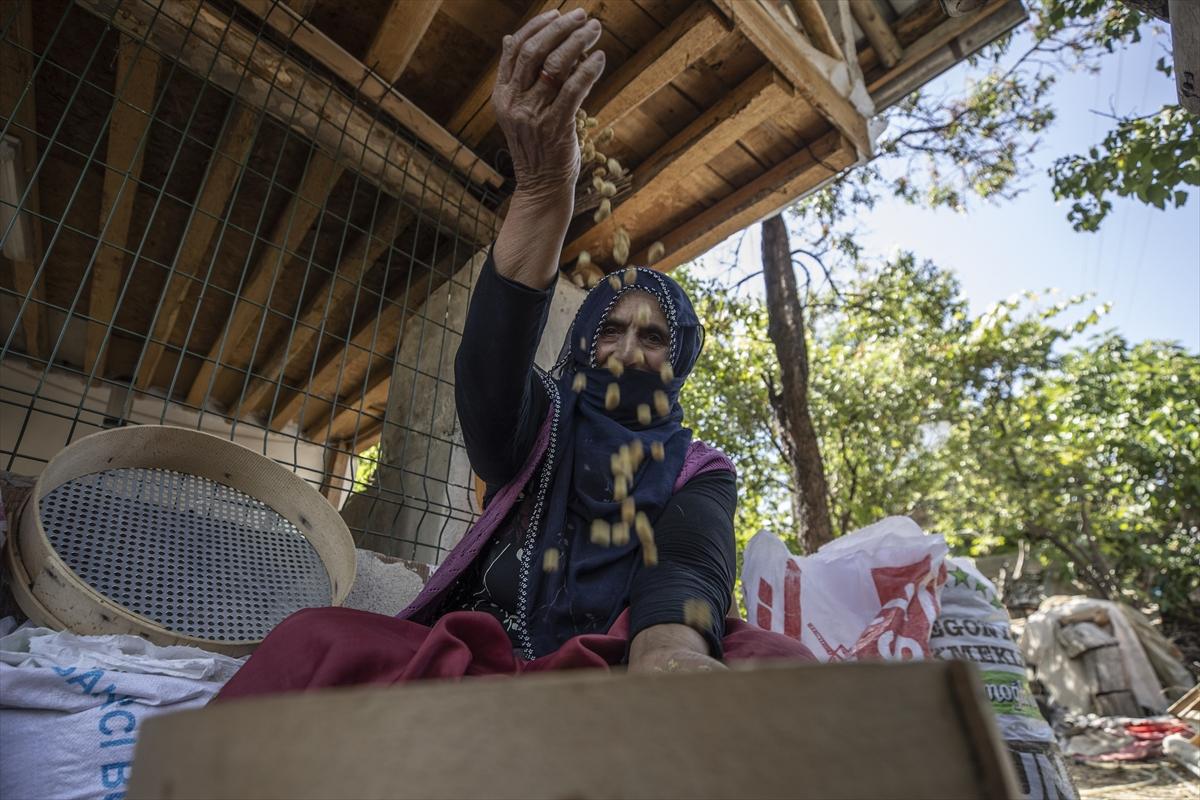 Tunceli'de dut mesaisi