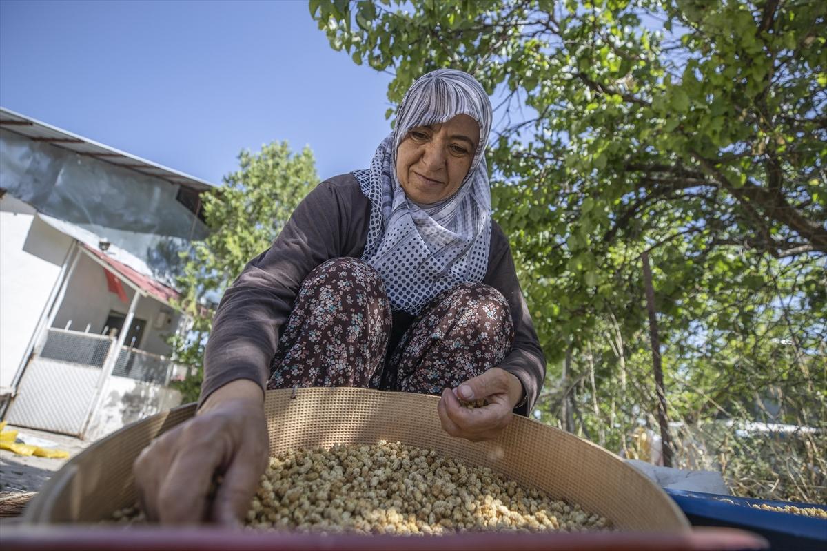 Tunceli'de dut mesaisi