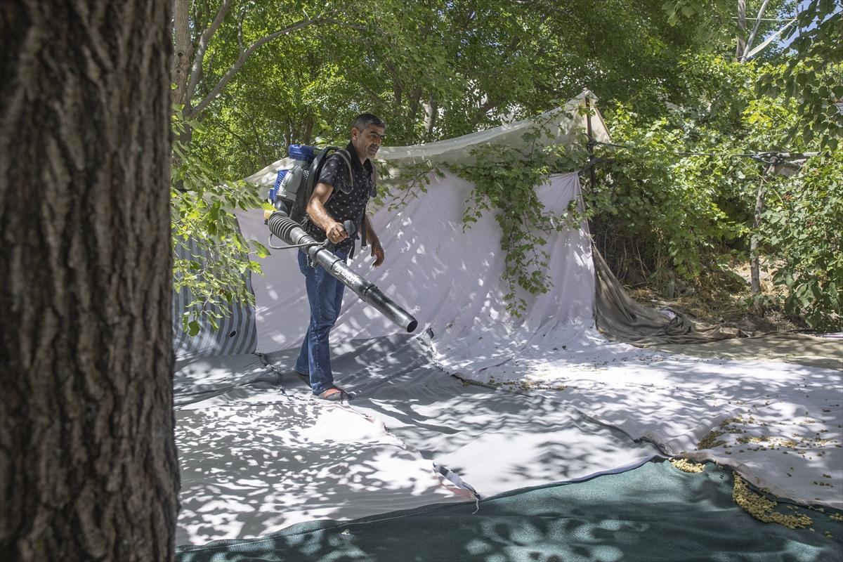 Tunceli'de dut mesaisi