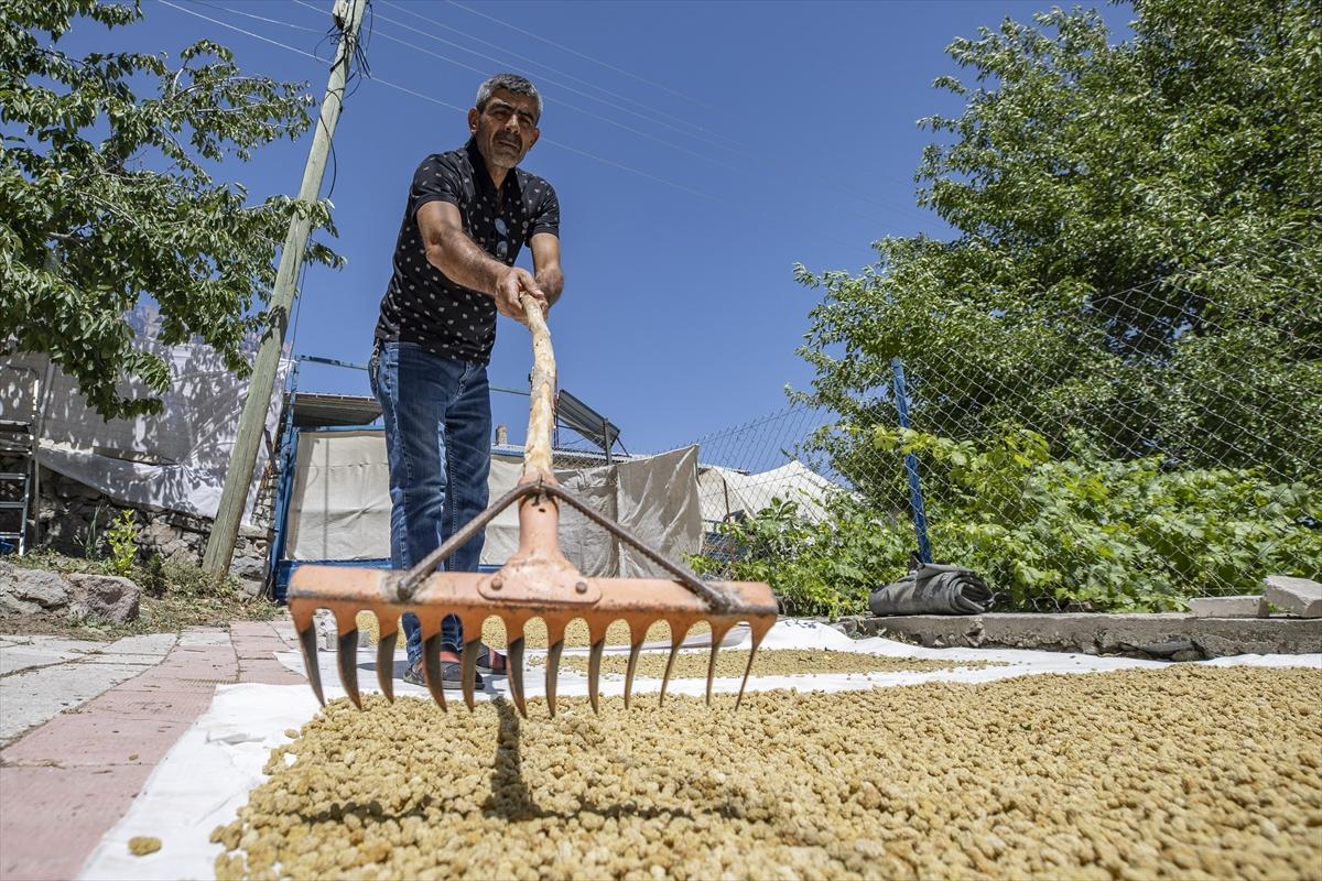 Tunceli'de dut mesaisi