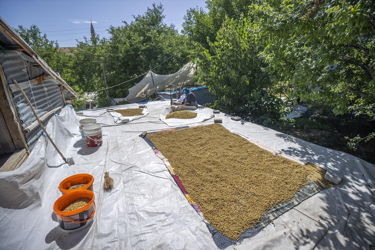 Tunceli'de dut mesaisi