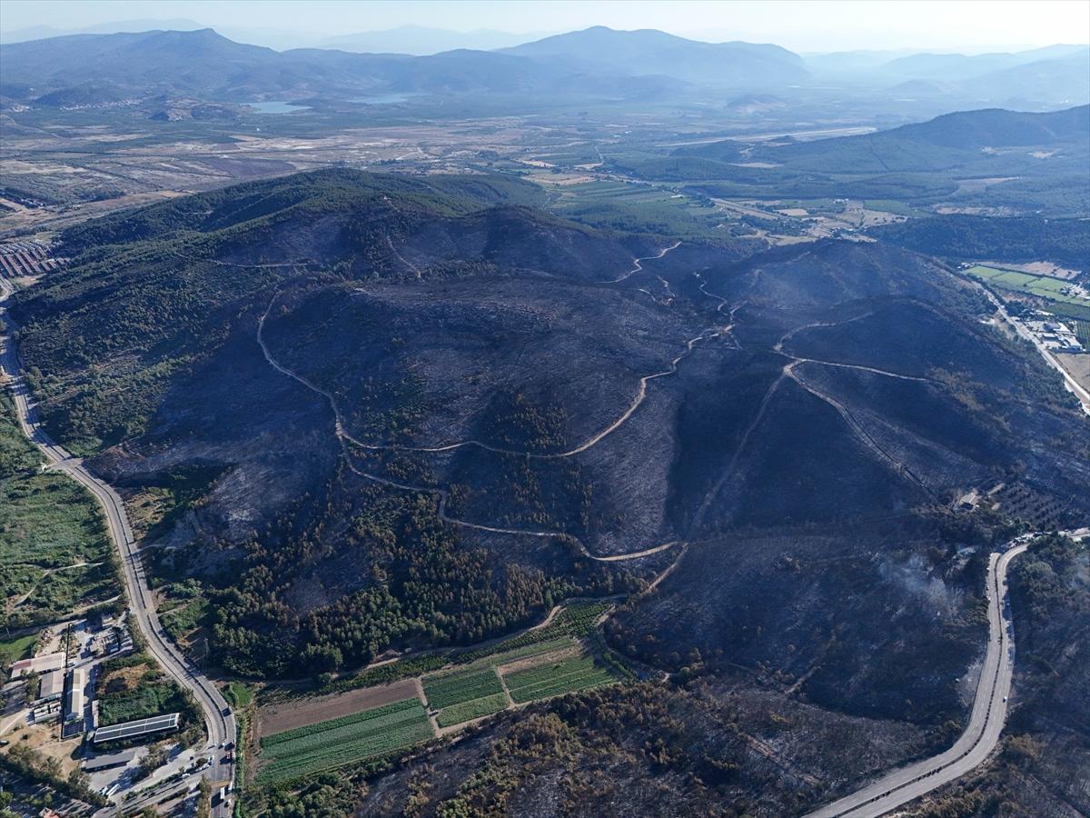 İzmir'de yangının ormana verdiği zarar gün yüzüne çıktı